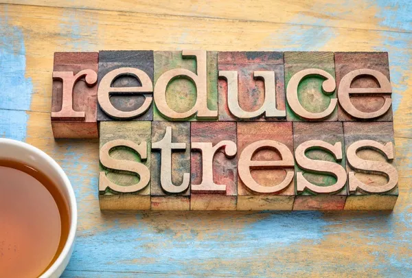 Somatic Meditation for Stress Reduction