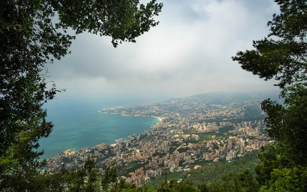 You Went to Lebanon, Cont...